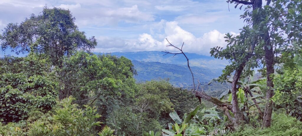 Escena montañosa andina